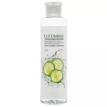 ECOBRANCH Тонер с экстрактом огурца 250.0