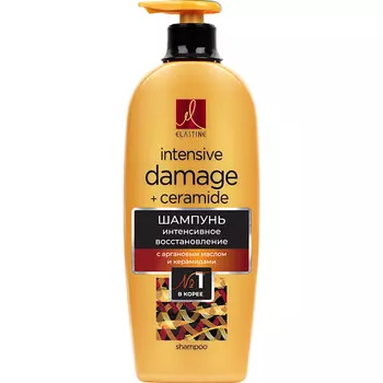 ELASTINE Шампунь для интенсивного восстановления Moroccan Argan Oil