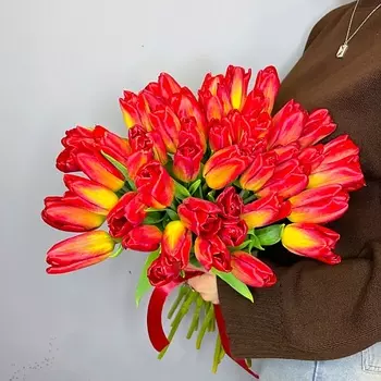 ELEVEN FLOWERS 51 красный тюльпан