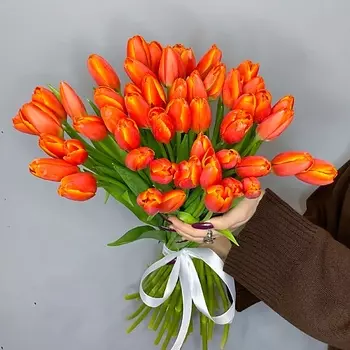 ELEVEN FLOWERS 51 яркий тюльпан