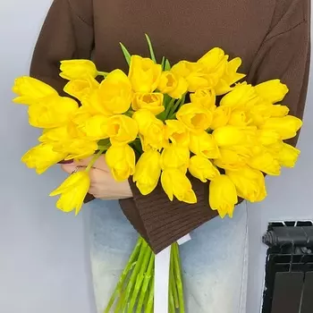 ELEVEN FLOWERS 51 желтый тюльпан