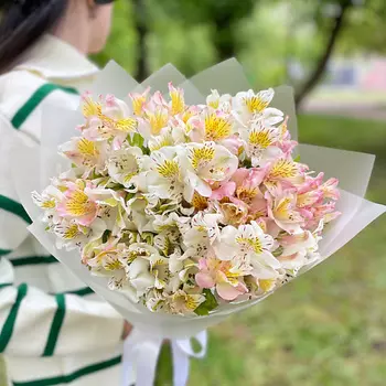 ELEVEN FLOWERS Альстромерия микс