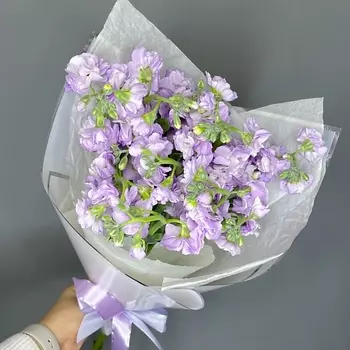 ELEVEN FLOWERS Ароматная маттиола