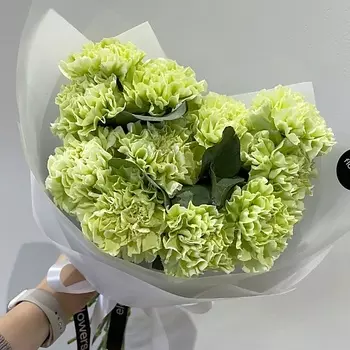 ELEVEN FLOWERS Букет из зеленх диантусов