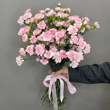 ELEVEN FLOWERS Кустовая гвоздика