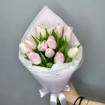 ELEVEN FLOWERS Нежные тюльпаны