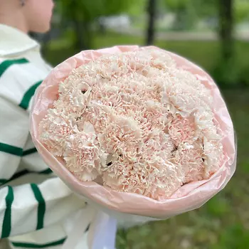 ELEVEN FLOWERS Пышный букет из диантусов