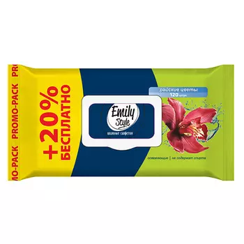EMILYSTYLE Влажные гигиенические салфетки