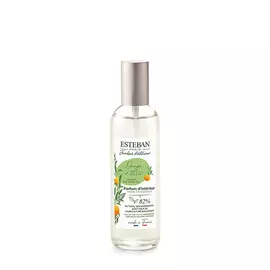 ESTEBAN PARIS PARFUMS Парфюмерный спрей для дома Апельсин и зеленый чай