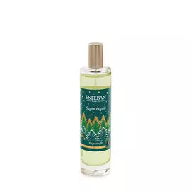 ESTEBAN PARIS PARFUMS Парфюмерный спрей для дома Праздничная хвоя