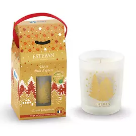 ESTEBAN PARIS PARFUMS Свеча ароматическая в стеклянном стакане Имбирные лакомства