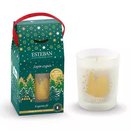 ESTEBAN PARIS PARFUMS Свеча ароматическая в стеклянном стакане Праздничная хвоя