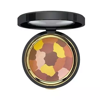 ETRE BELLE Пудра для лица Arabesque Multi Color Powder