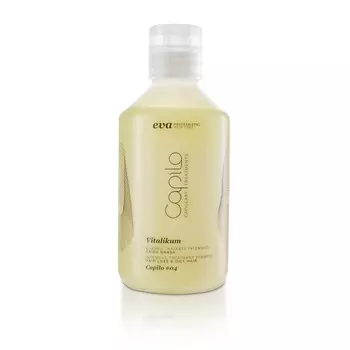 EVA PROFESSIONAL HAIR CARE Шампунь для жирных волос против выпадения Capilo Vitalikum Shampoo N.04