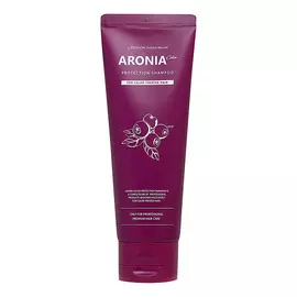 EVAS Pedison Шампунь для волос Арония Institute-beaut Aronia Color Protection Shampoo 100.0
