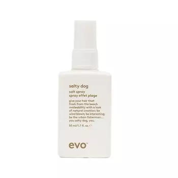 EVO [пляжон(ка)] текстурирующий спрей salty dog salt spray