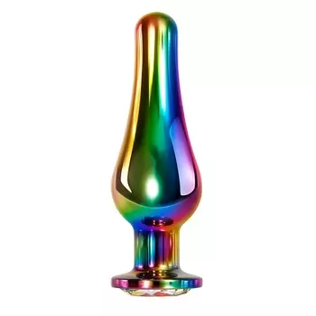 EVOLVED RAINBOW METAL PLUG LARGE Радужная анальная пробка большая