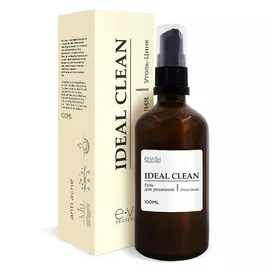 EVSI IDEAL CLEAN Гель для умывания Уголь-Цинк 100.0