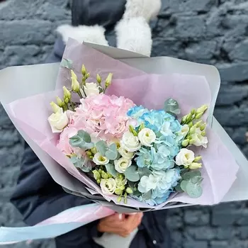 ЕЖЕВИКА Сахарная вата