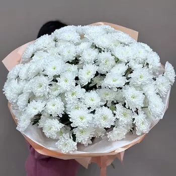 FANTASY Гигант из хризантем