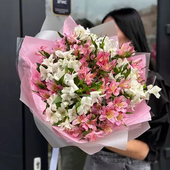 FANTASY Взмах крыла бабочки