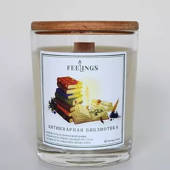 FEELINGS Свеча ароматическая из соевого воска "Антикварная библиотека"