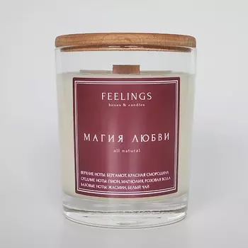 FEELINGS Свеча ароматическая из соевого воска "Магия любви"