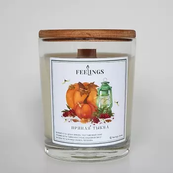 FEELINGS Свеча ароматическая из соевого воска "Пряная тыква"
