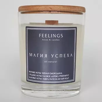 FEELINGS Свеча ароматическая "Магия успеха"