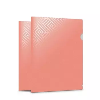 FLEXPOCKET Папка-уголок для документов, набор