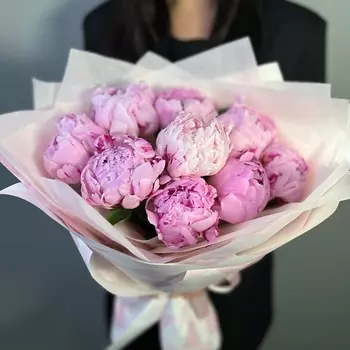 FLORES Розовые пионы Сара Бернар в стильном оформлении (9 пионов)