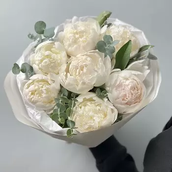 FLORES Шикарные белые пионы Мадам Клод