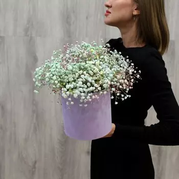 ФЛОРИКА Шляпная коробка из цветной гипсофилы