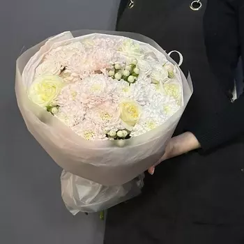 FLORIO Морозный день