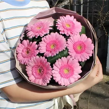 FLORISTIK ЦВЕТОЧНАЯ СТУДИЯ Букет из 7 гермини