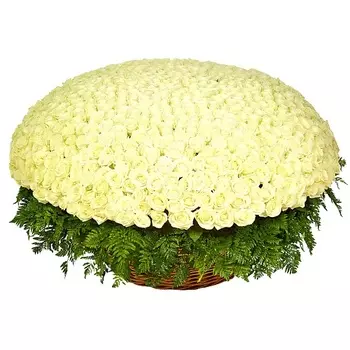 FLORPRO 1001 белая роза Аваланч в корзине