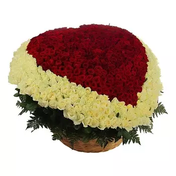 FLORPRO 1001 розы в виде сердца в корзине