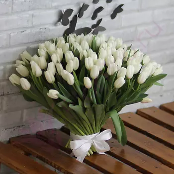 FLORPRO 101 белый тюльпан