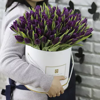 FLORPRO 101 фиолетовый тюльпан в коробке