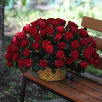 FLORPRO 101 красная роза в корзине