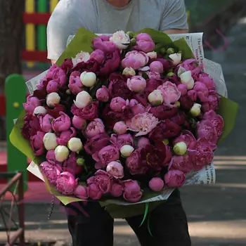 FLORPRO 101 пион микс в дизайнерской упаковке