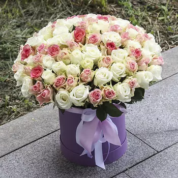 FLORPRO 101 роза микс в коробке №1 (Кения)