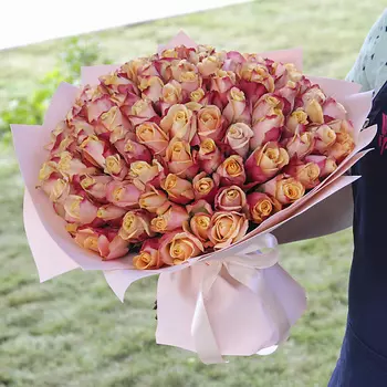 FLORPRO 101 роза МОНО №2 (Кения)