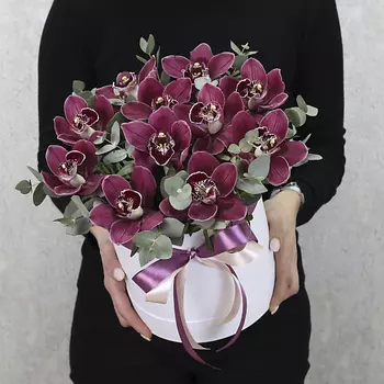 FLORPRO 11 бордовых орхидей с эвкалиптом в коробке "Винные бабочки"