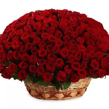 FLORPRO 151 красная роза Ред Наоми в корзине
