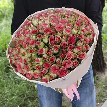 FLORPRO 151 роза МОНО №1 (Кения)