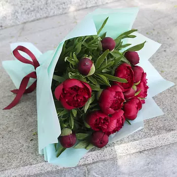 FLORPRO 15 красных пионов в дизайнерской упаковке