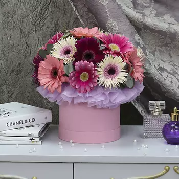 FLORPRO 17 гербер микс с эвкалиптом в коробке