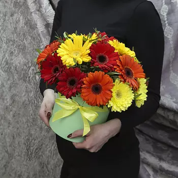 FLORPRO 17 гербер микс с зеленью в коробке