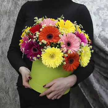 FLORPRO 21 гербера микс с ромашкой в коробке